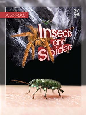 cover image of Insects and Spiders